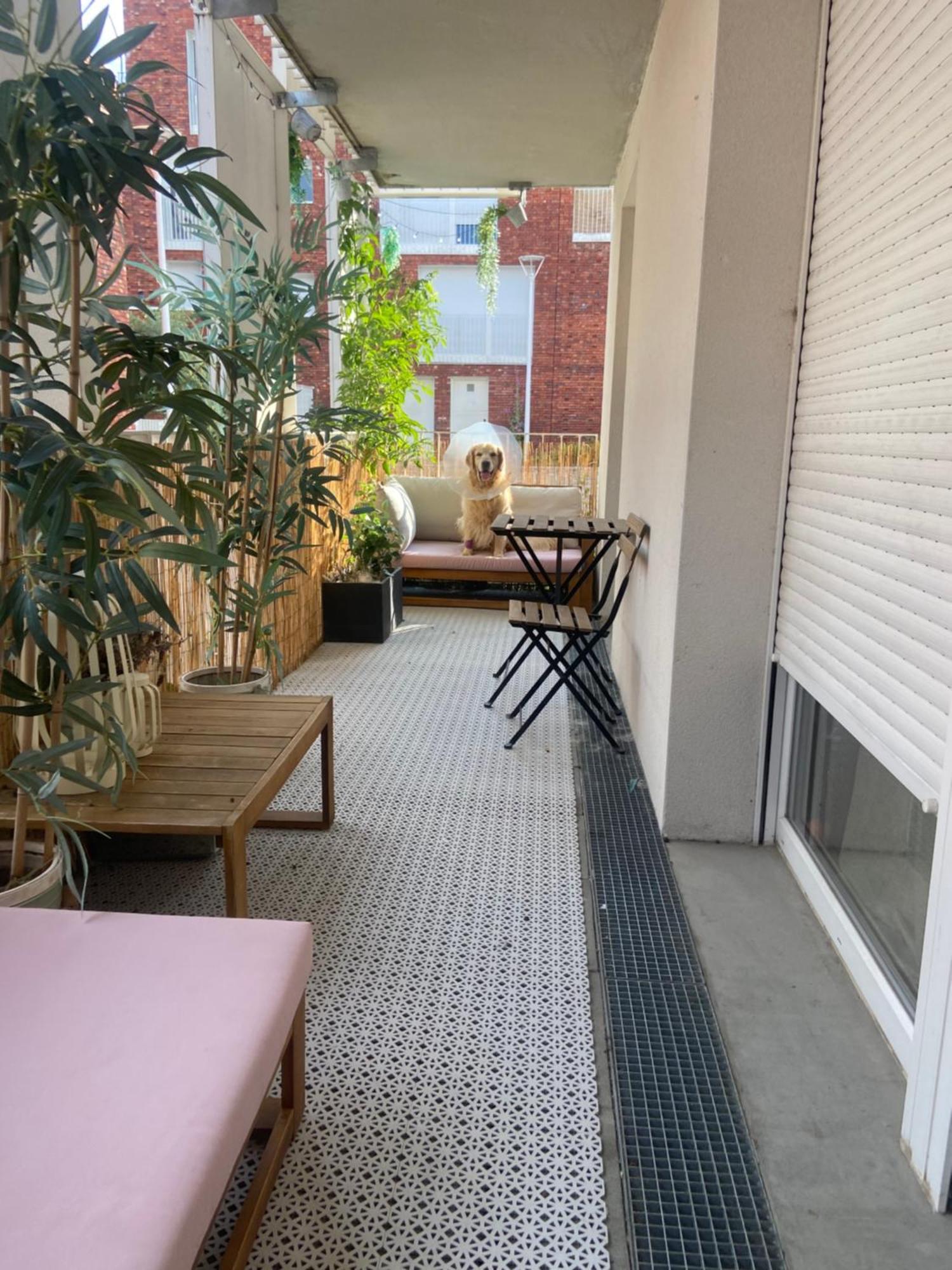 Chambre Cosy Et Paisible Lille Dış mekan fotoğraf